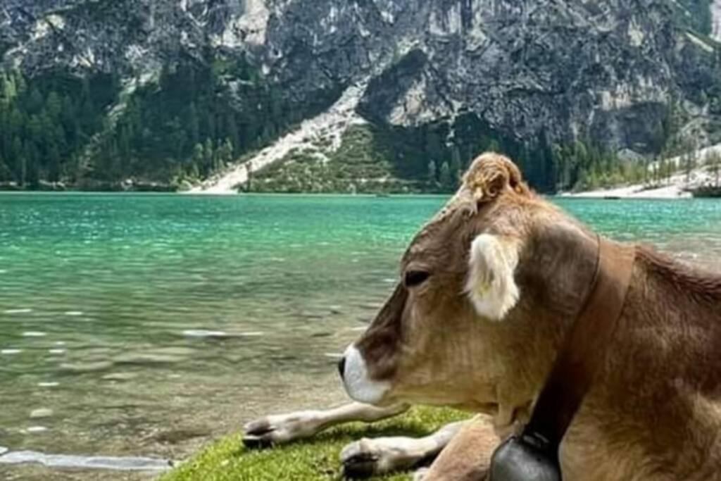 Relax Al Lago Di Prags Eksteriør billede